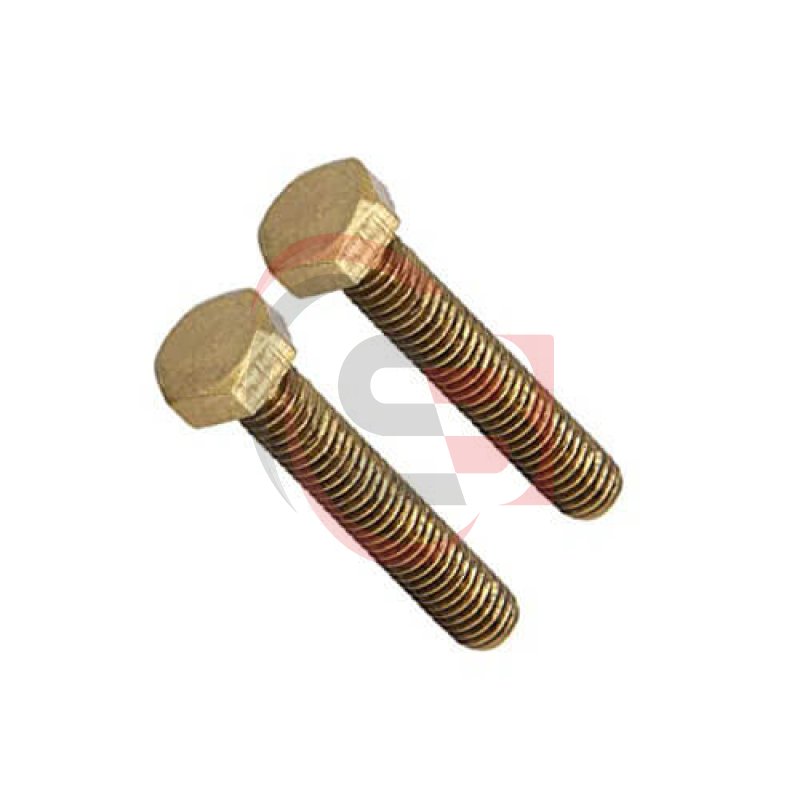 Brass Fastener 1